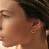 18k Gold Araucaria Circle Studs