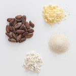 Cocoa beans, white chocolate chips, and a white powder on a light gray background.