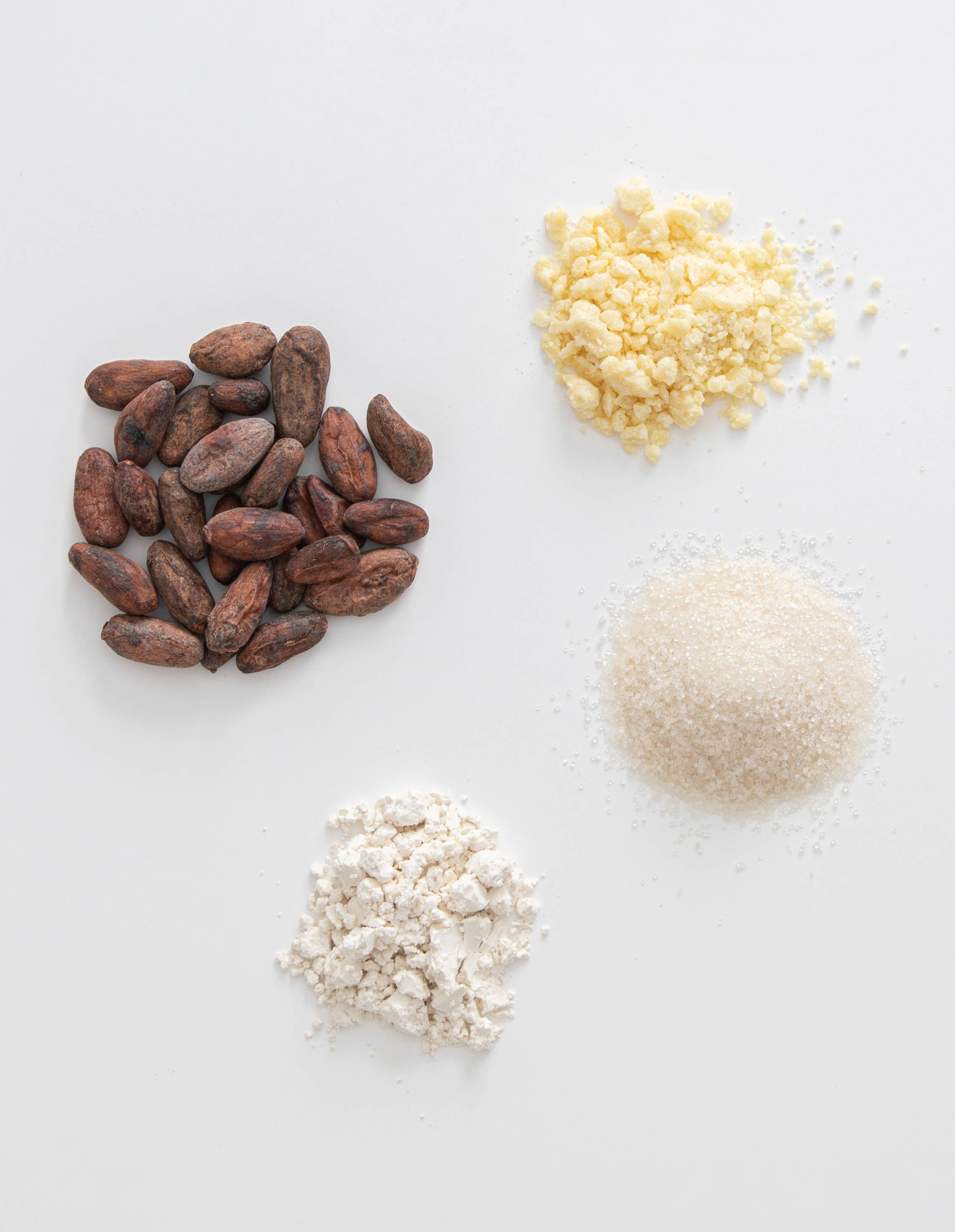 Cocoa beans, white chocolate chips, and a white powder on a light gray background.