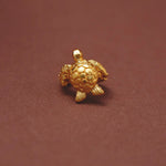 Gold turtle pendant on a brown background