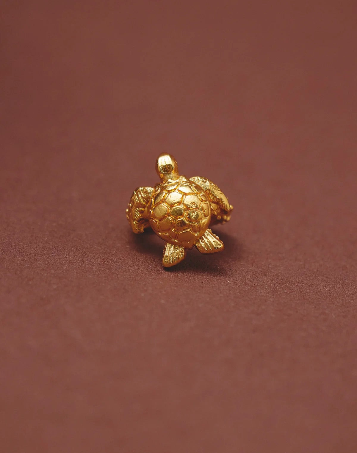 Gold turtle pendant on a brown background