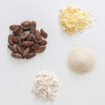 Cocoa beans, white chocolate chips, and a white powder on a light gray background.