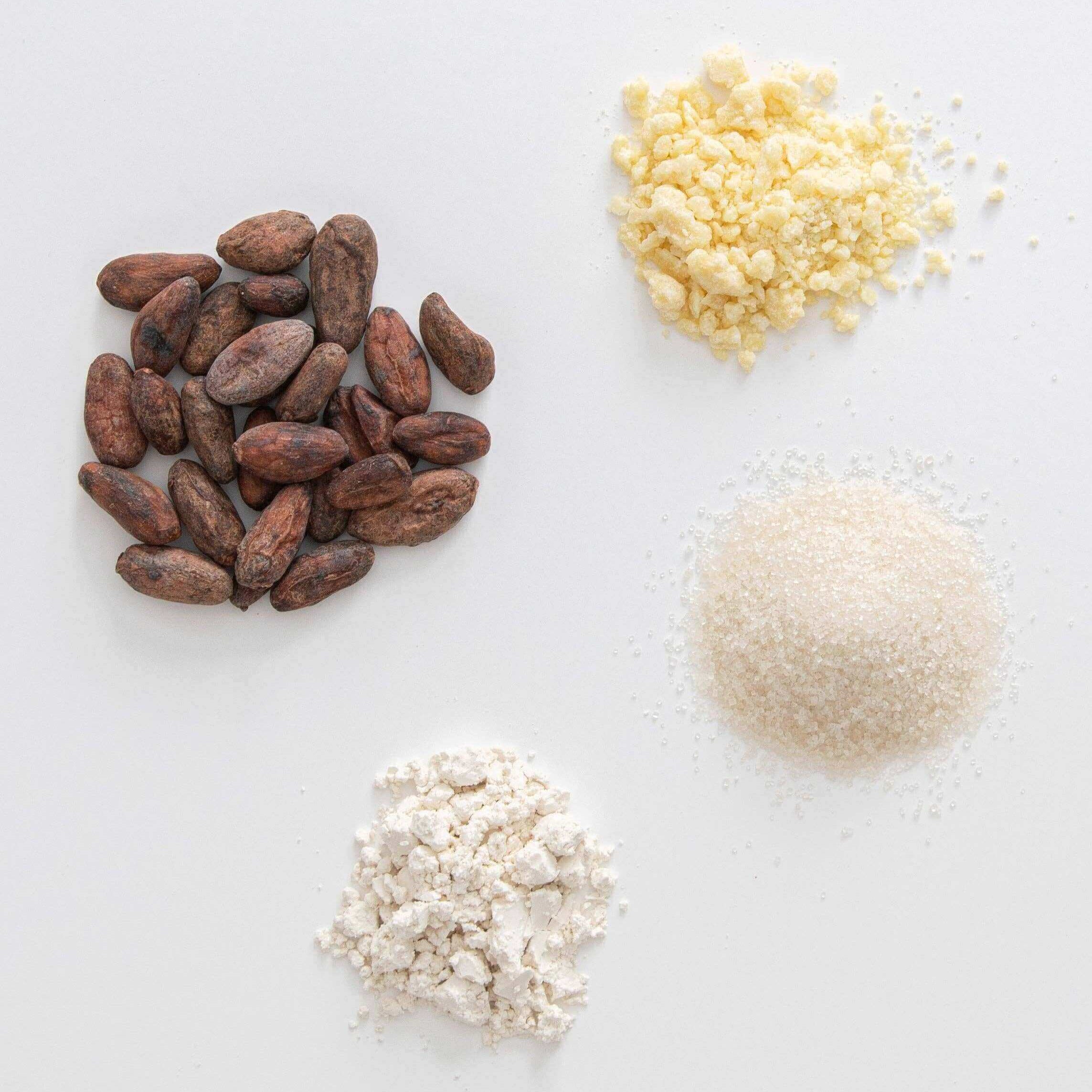 Cocoa beans, white chocolate chips, and a white powder on a light gray background.