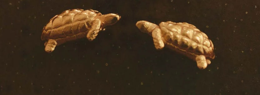 A pair of 24k gold plated turtle earrings against a dark background.