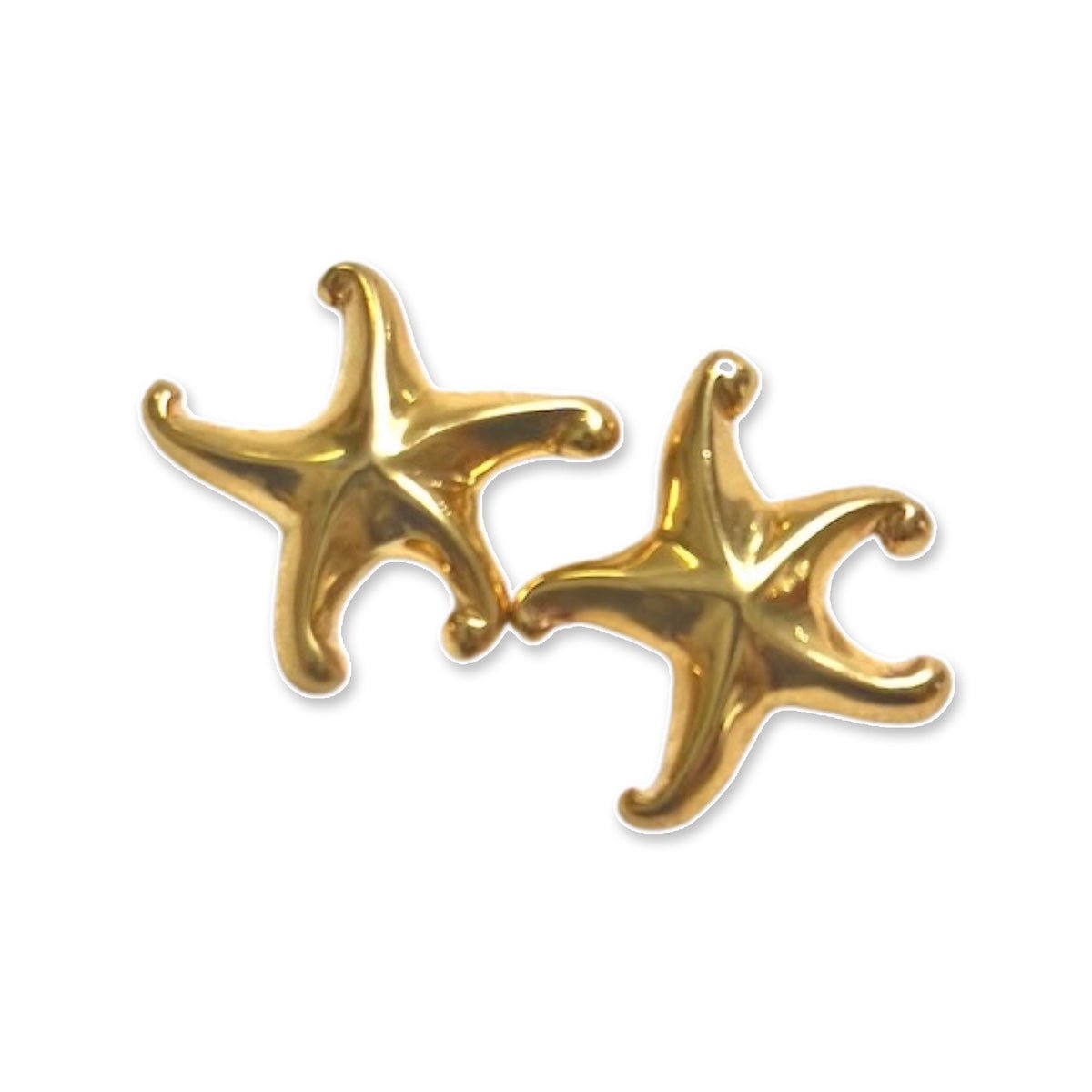 Starfish Earrings - EVAMAIA
